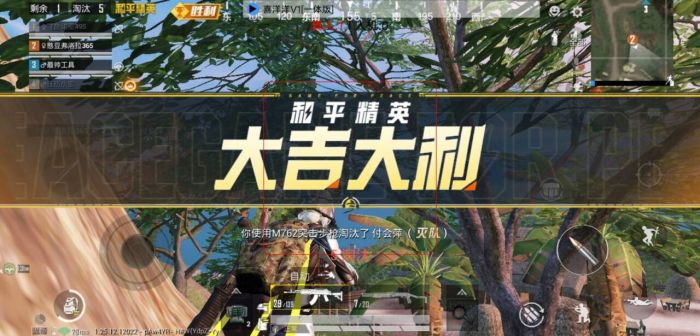 和平精英外挂该怎么打开（和平精英外挂该要怎么打开）